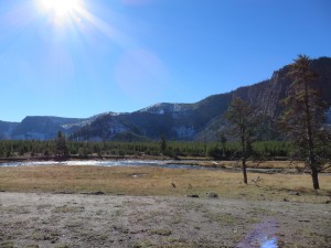 Along the Madison River