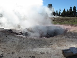 Yep, that's boiling mud.