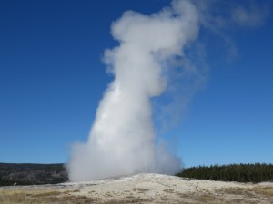 Old Faithful!