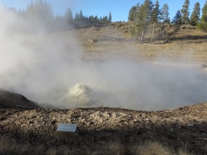 The Churning Caldron at Mud Volcano.